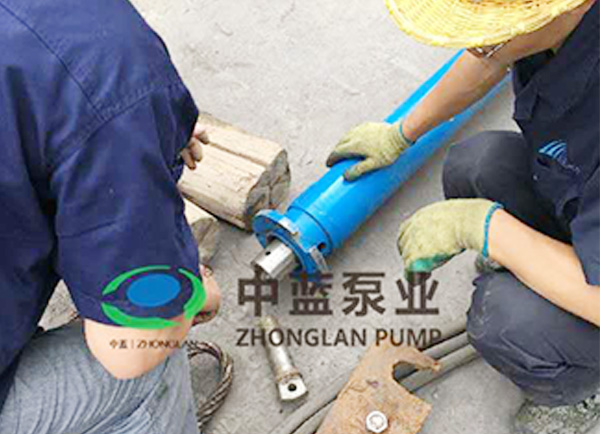 葫芦岛管理有限公司出口贸易