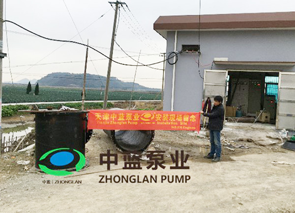 山东临清市八岔路镇