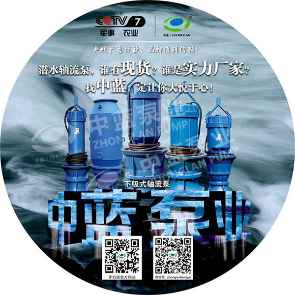 潜水轴流泵结构说明 轴流泵哪家好？