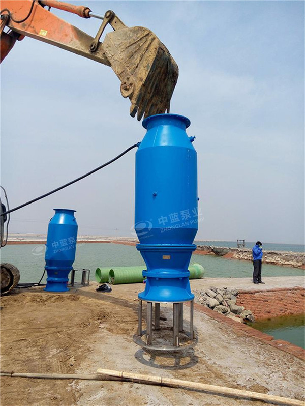 潜水轴流泵特性试验研究与数值模拟