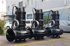 大型QW潜水污水排污泵的结构以及运行原理？