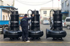 搅拌式污水泵的型号及参数 搅拌式污水泵哪家好