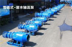 潜水轴流泵各种知识及维护保养