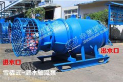 潜水轴流泵烧坏的原因及解决办法