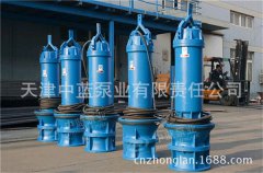 潜水轴流泵致力打造良心品牌
