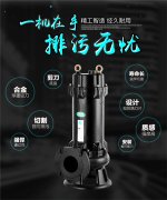针对搅匀式潜水排污泵安装环境的分析