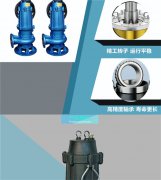 自动搅匀排污泵如何选型