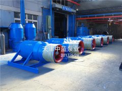 混流泵开机瞬态水力特性的试验与数值计算